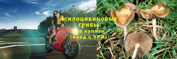 соль курить ск Белокуриха