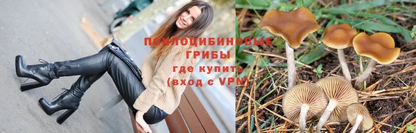 a pvp Богородск
