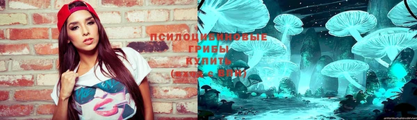 бошки Беломорск