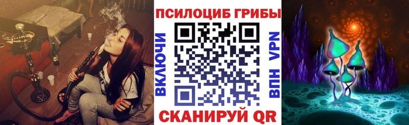 где продают наркотики Богородск Псилоцибиновые грибы мицелий